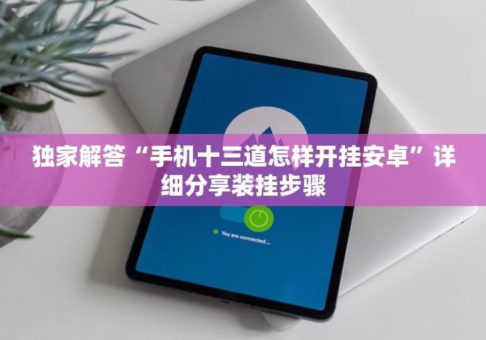 独家解答“手机十三道怎样开挂安卓”详细分享装挂步骤