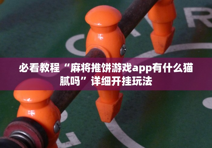必看教程“麻将推饼游戏app有什么猫腻吗”详细开挂玩法
