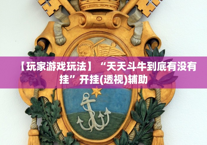 【玩家游戏玩法】“天天斗牛到底有没有挂”开挂(透视)辅助