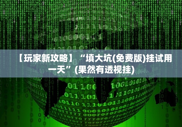 【玩家新攻略】“填大坑(免费版)挂试用一天”(果然有透视挂)