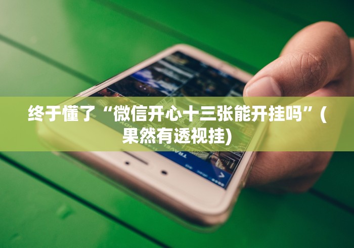 终于懂了“微信开心十三张能开挂吗”(果然有透视挂)