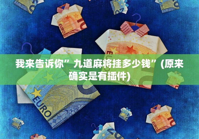 我来告诉你”九道麻将挂多少钱”(原来确实是有插件)