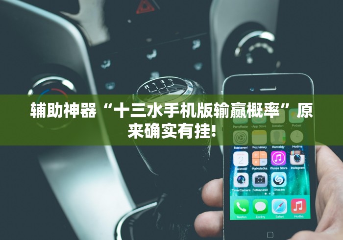 辅助神器“十三水手机版输赢概率”原来确实有挂!