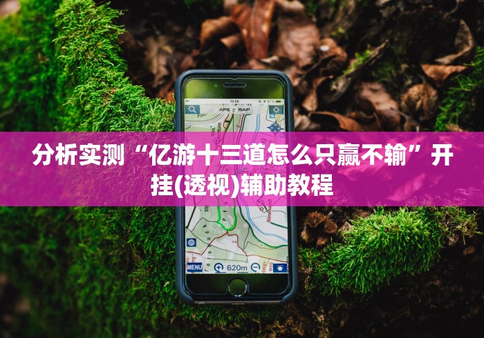 分析实测“亿游十三道怎么只赢不输”开挂(透视)辅助教程