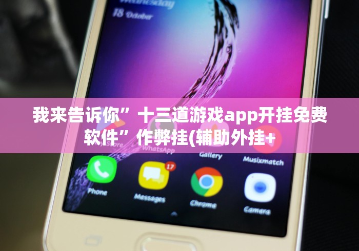 我来告诉你”十三道游戏app开挂免费软件”作弊挂(辅助外挂+