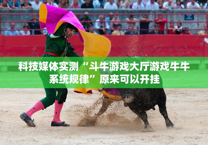 科技媒体实测“斗牛游戏大厅游戏牛牛系统规律”原来可以开挂