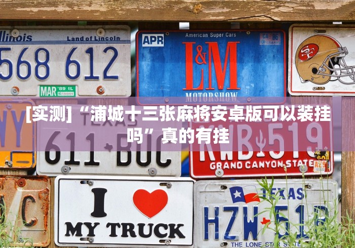 玩家必备“打罗松作弊软件[分享装挂详细步骤]