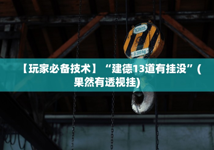 【玩家必备技术】“建德13道有挂没”(果然有透视挂)