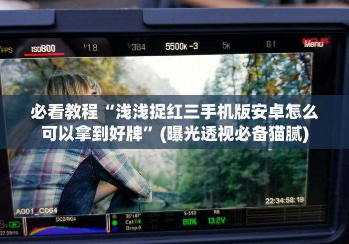 必看教程“浅浅捉红三手机版安卓怎么可以拿到好牌”(曝光透视必备猫腻)