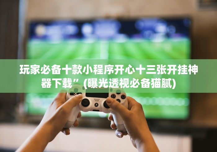 玩家必备十款小程序开心十三张开挂神器下载”(曝光透视必备猫腻)