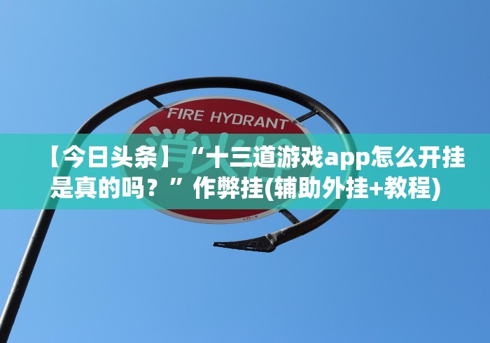 【今日头条】“十三道游戏app怎么开挂是真的吗？”作弊挂(辅助外挂+教程)