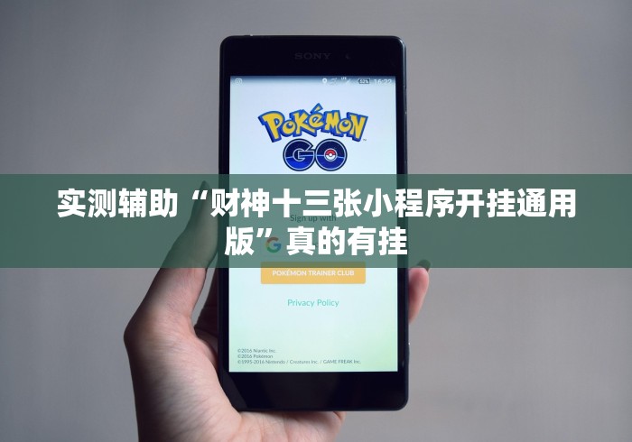 实测辅助“财神十三张小程序开挂通用版”真的有挂