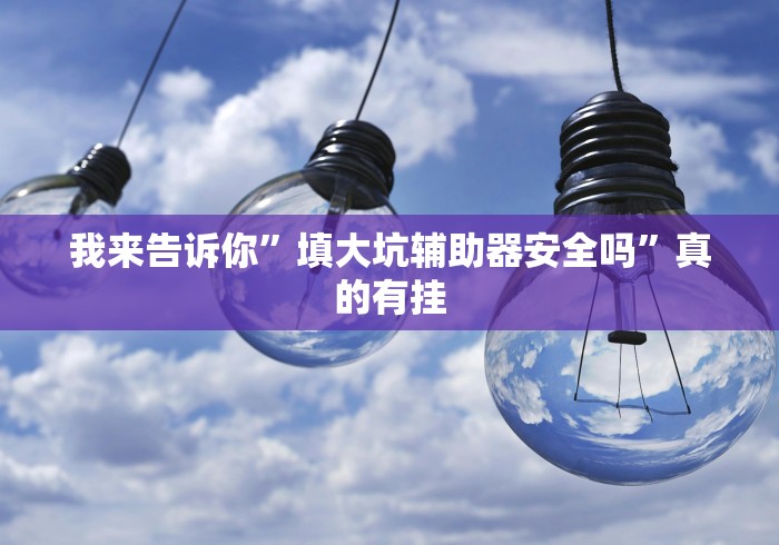 我来告诉你”填大坑辅助器安全吗”真的有挂