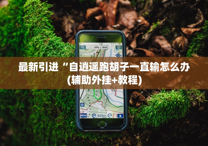 最新引进“自逍遥跑胡子一直输怎么办(辅助外挂+教程)