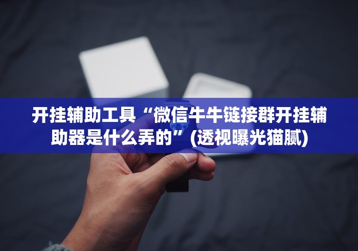开挂辅助工具“微信牛牛链接群开挂辅助器是什么弄的”(透视曝光猫腻)