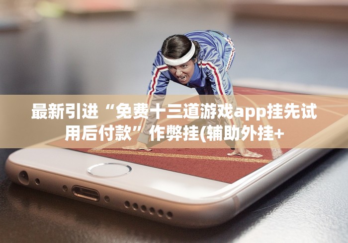 最新引进“免费十三道游戏app挂先试用后付款”作弊挂(辅助外挂+