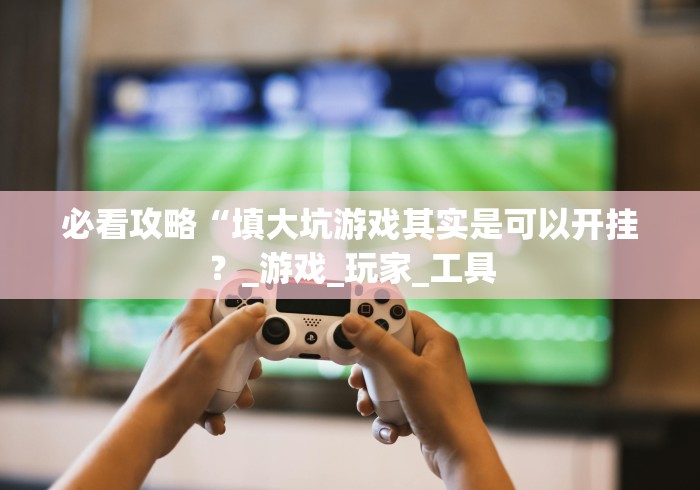 必看攻略“填大坑游戏其实是可以开挂？_游戏_玩家_工具