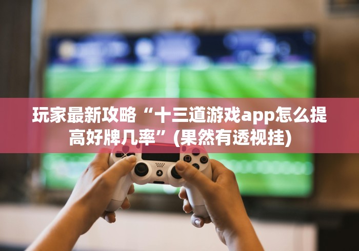 玩家最新攻略“十三道游戏app怎么提高好牌几率”(果然有透视挂)