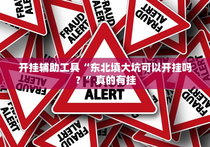 开挂辅助工具“东北填大坑可以开挂吗？”真的有挂