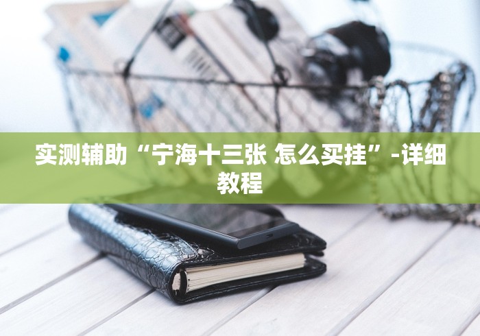 实测辅助“宁海十三张 怎么买挂”-详细教程