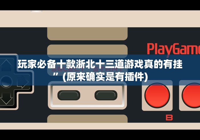 玩家必备十款浙北十三道游戏真的有挂”(原来确实是有插件)