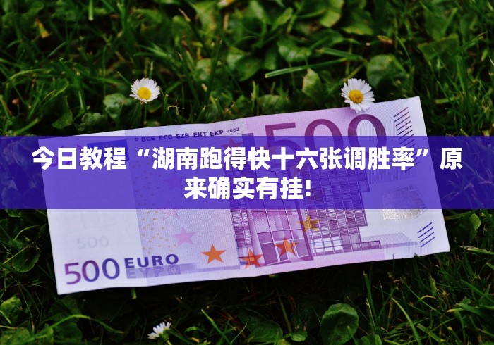 今日教程“湖南跑得快十六张调胜率”原来确实有挂!