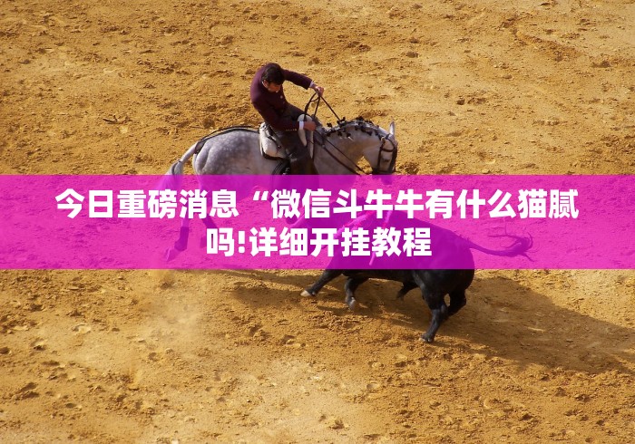 今日重磅消息“微信斗牛牛有什么猫腻吗!详细开挂教程 今日重磅消息“微信斗牛牛有什么猫腻吗!详细开挂教程