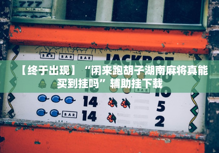 【终于出现】“闲来跑胡子湖南麻将真能买到挂吗”辅助挂下载