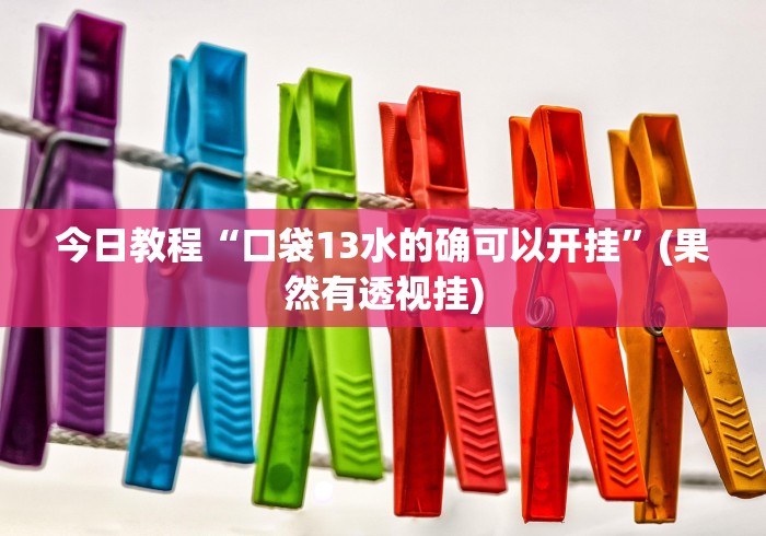 今日教程“口袋13水的确可以开挂”(果然有透视挂)