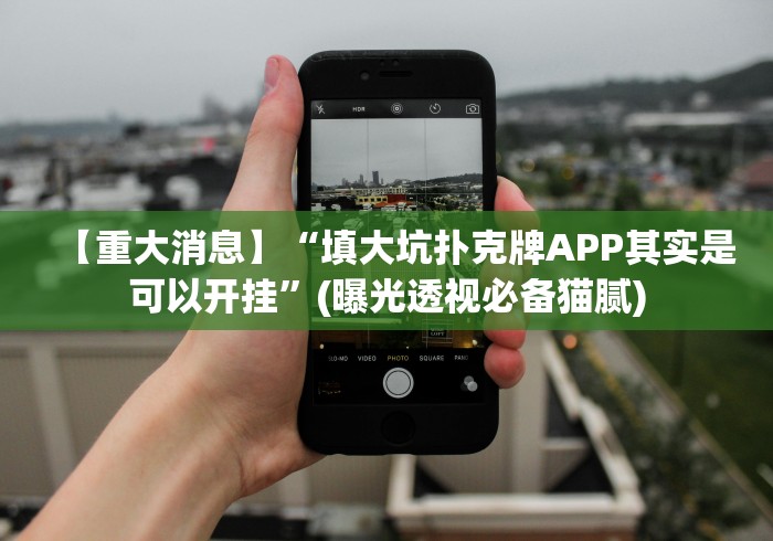 【重大消息】“填大坑扑克牌APP其实是可以开挂”(曝光透视必备猫腻)