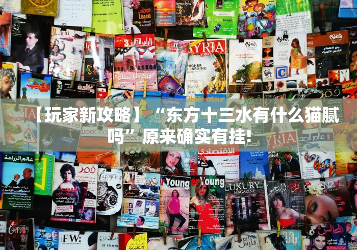 【玩家新攻略】“东方十三水有什么猫腻吗”原来确实有挂! 【玩家新攻略】“东方十三水有什么猫腻吗”原来确实有挂!