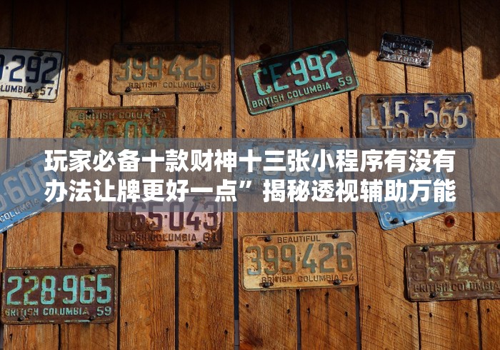 玩家必备十款财神十三张小程序有没有办法让牌更好一点”揭秘透视辅助万能挂 玩家必备十款财神十三张小程序有没有办法让牌更好一点”揭秘透视辅助万能挂