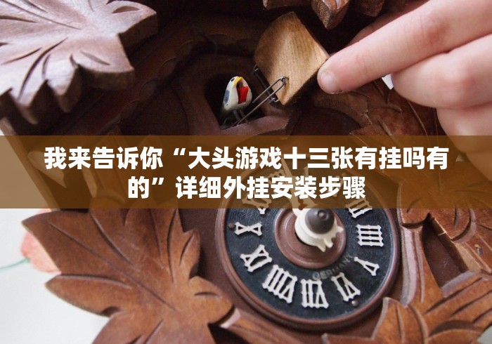 我来告诉你“大头游戏十三张有挂吗有的”详细外挂安装步骤
