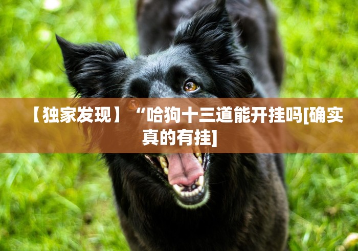 【独家发现】“哈狗十三道能开挂吗[确实真的有挂]