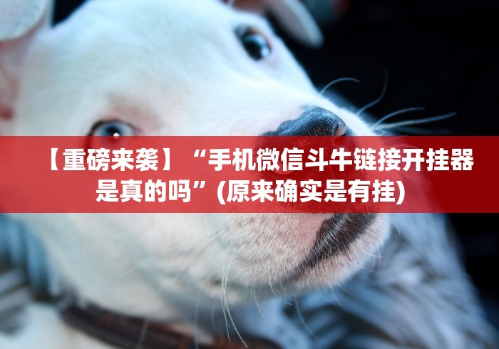 【独家发现】“九种九牌软件能不能开挂”(果然有透视挂)