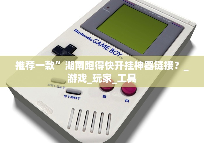 推荐一款”湖南跑得快开挂神器链接？_游戏_玩家_工具