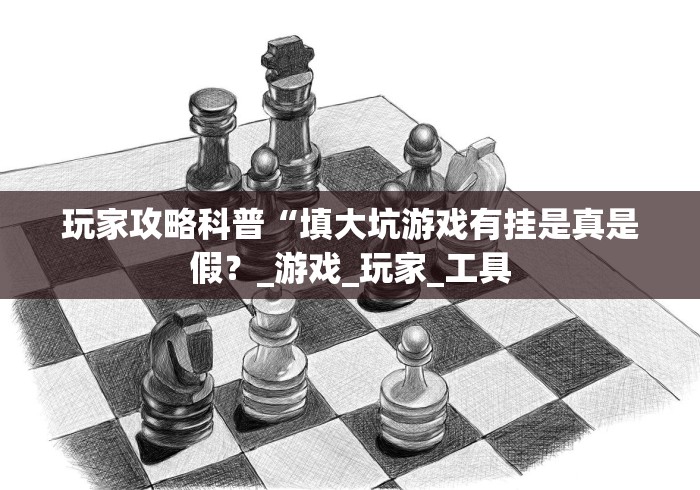 玩家攻略科普“填大坑游戏有挂是真是假?_游戏_玩家_工具 玩家攻略科普“填大坑游戏有挂是真是假?_游戏_玩家_工具