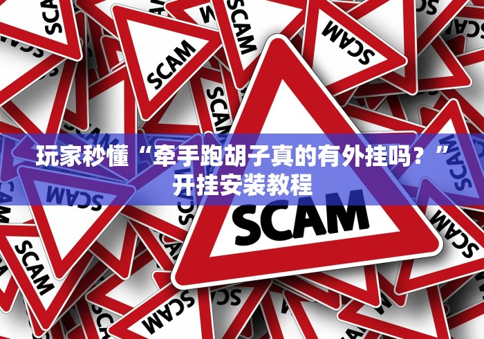 玩家秒懂“牵手跑胡子真的有外挂吗？”开挂安装教程