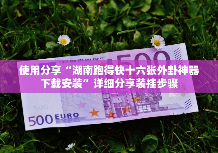 使用分享“湖南跑得快十六张外卦神器下载安装”详细分享装挂步骤 使用分享“湖南跑得快十六张外卦神器下载安装”详细分享装挂步骤