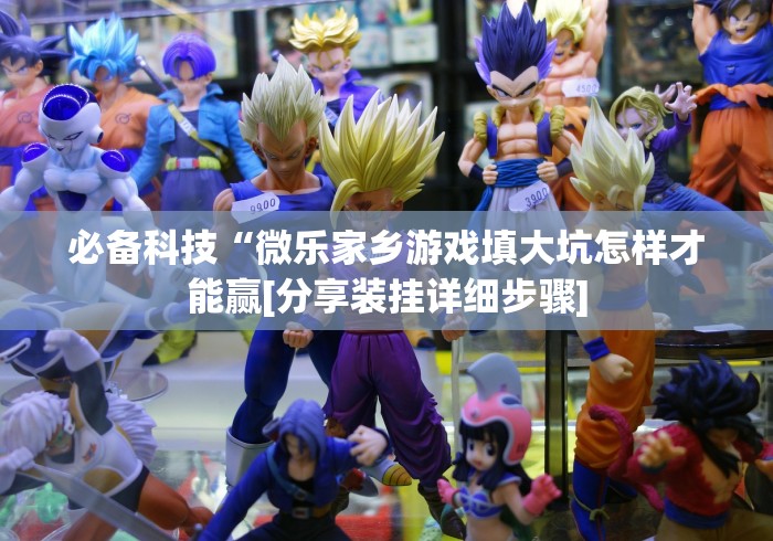 必备科技“微乐家乡游戏填大坑怎样才能赢[分享装挂详细步骤]