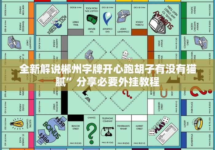 全新解说郴州字牌开心跑胡子有没有猫腻”分享必要外挂教程 全新解说郴州字牌开心跑胡子有没有猫腻”分享必要外挂教程