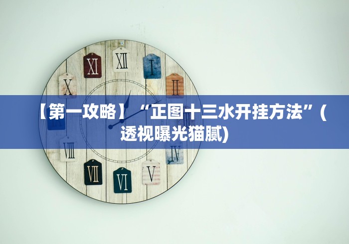 【第一攻略】“正图十三水开挂方法”(透视曝光猫腻) 【第一攻略】“正图十三水开挂方法”(透视曝光猫腻)