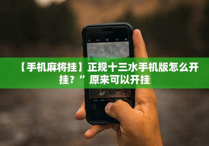 【手机麻将挂】正规十三水手机版怎么开挂？”原来可以开挂