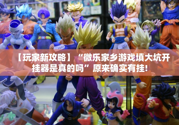 【玩家新攻略】“微乐家乡游戏填大坑开挂器是真的吗”原来确实有挂!