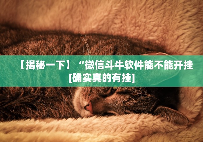 【揭秘一下】“微信斗牛软件能不能开挂[确实真的有挂]