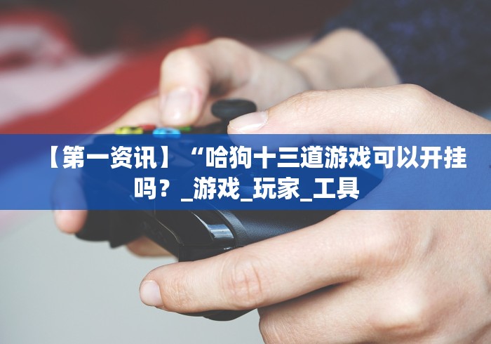 【第一资讯】“哈狗十三道游戏可以开挂吗?_游戏_玩家_工具 【第一资讯】“哈狗十三道游戏可以开挂吗?_游戏_玩家_工具