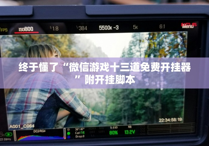 终于懂了“微信游戏十三道免费开挂器”附开挂脚本 终于懂了“微信游戏十三道免费开挂器”附开挂脚本