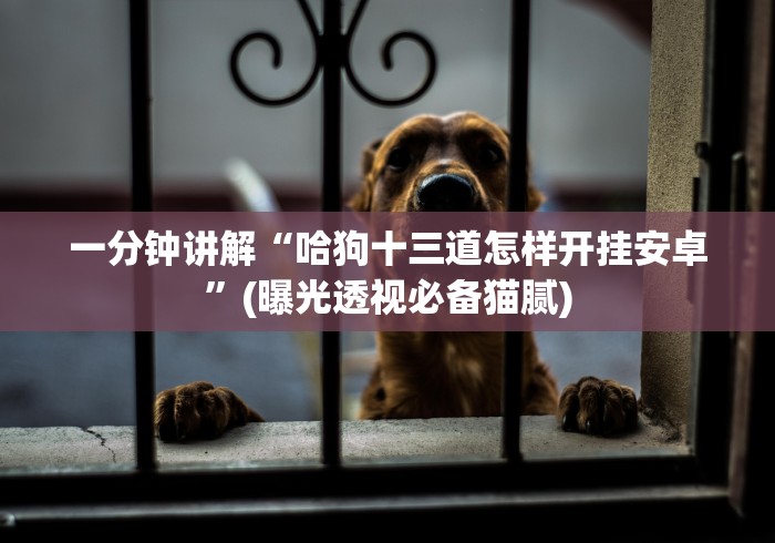 【第一攻略】“途游十三水万能开挂器[真的有挂]