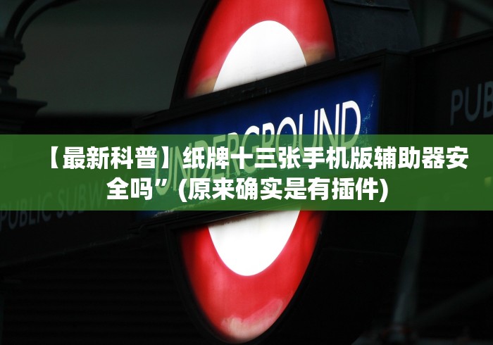 【最新科普】纸牌十三张手机版辅助器安全吗”(原来确实是有插件)