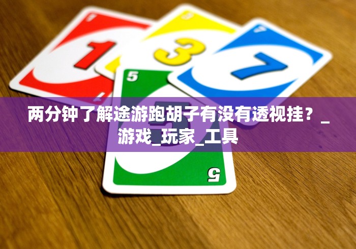 两分钟了解途游跑胡子有没有透视挂？_游戏_玩家_工具